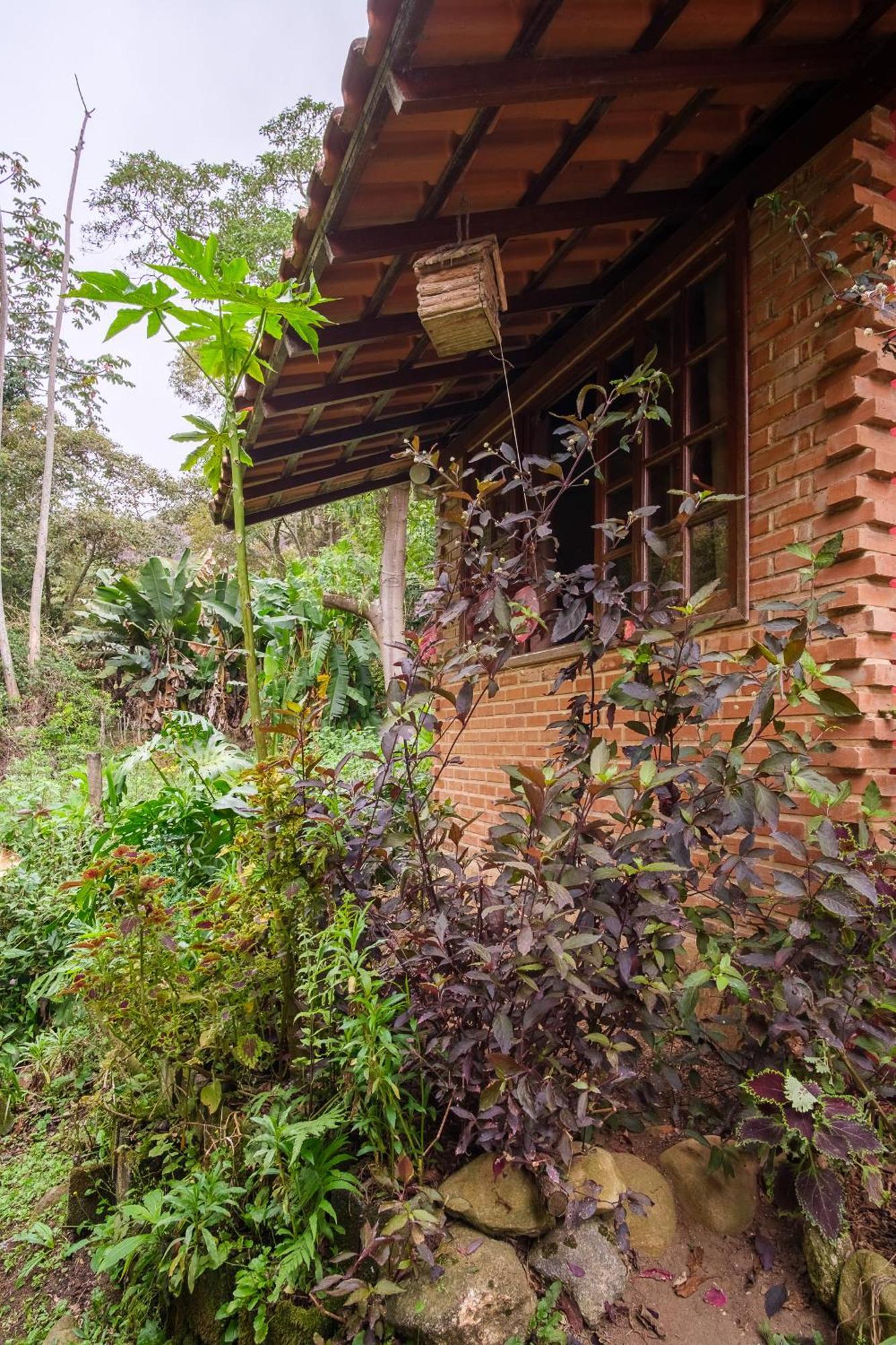 Aua Hostel Petropolis  Exterior photo